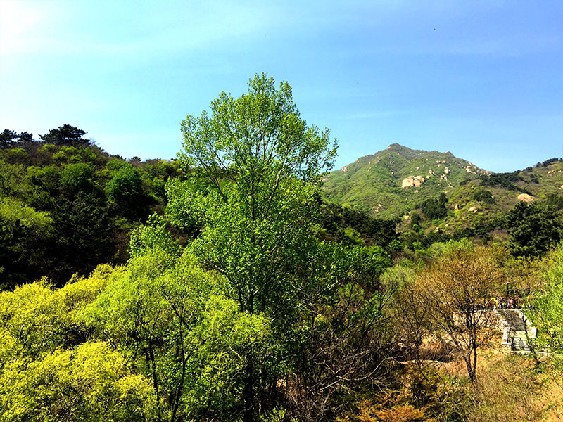 八达岭陵园景色