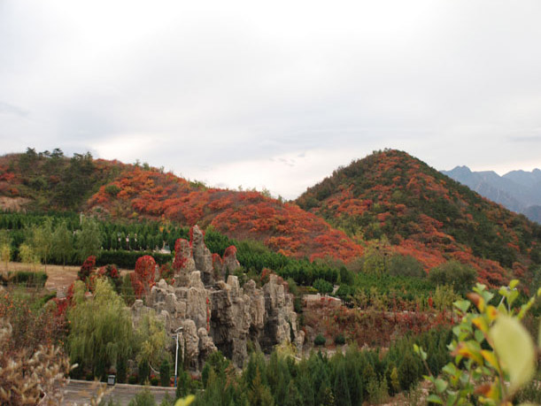 陵园秋景